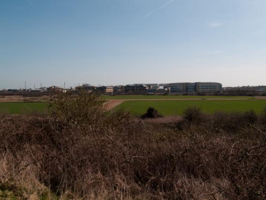 Richborough_Pfizer_Research_Europe_-4